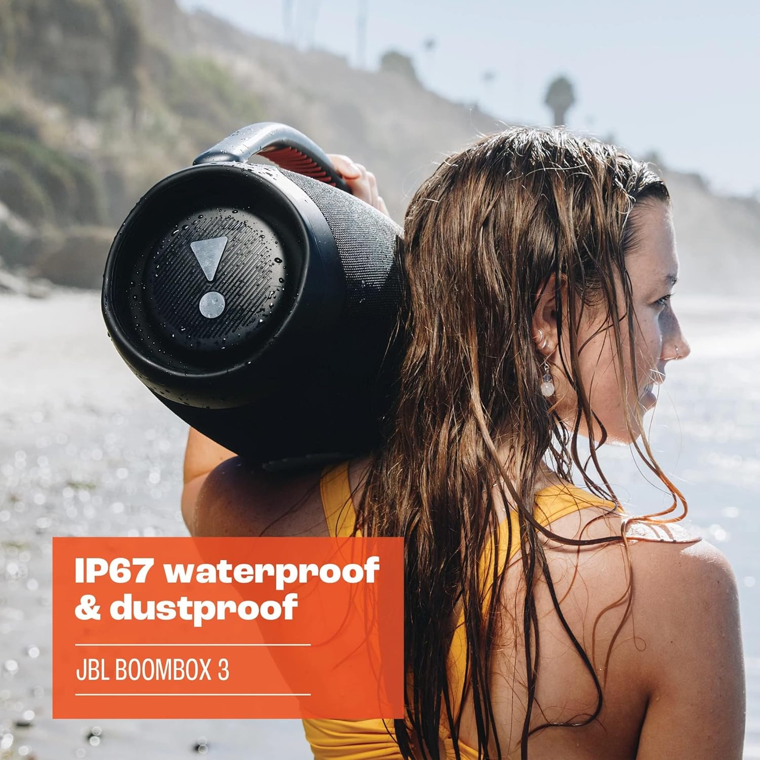 Boombox 3 Portable Speaker With Massive Signature Pro Sound